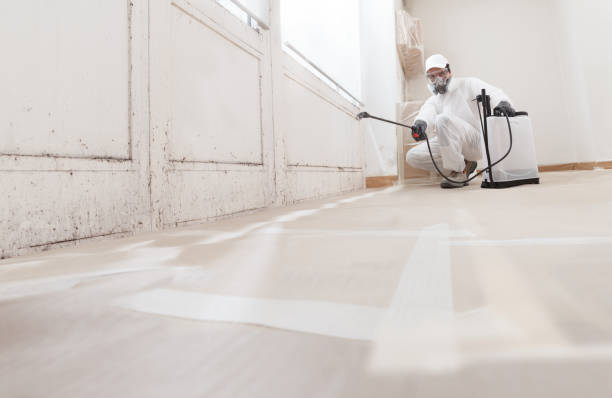24/7 Emergency Black Mold Remediation experts in Flinton, PA